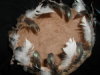 Feathered Bowl